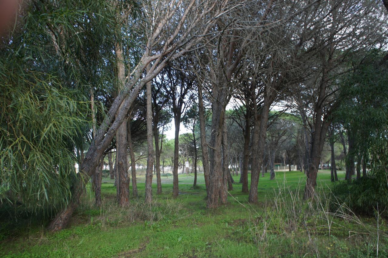 Locanda Farorientale Santa Lucia (Sardinia) Exterior foto